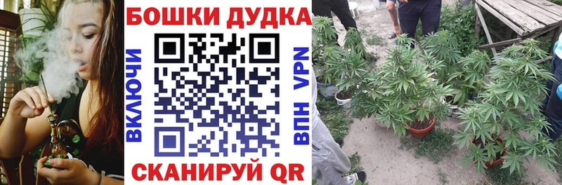 купить наркотики цена  KRAKEN ссылки  Каннабис SATIVA & INDICA  Анжеро-Судженск 